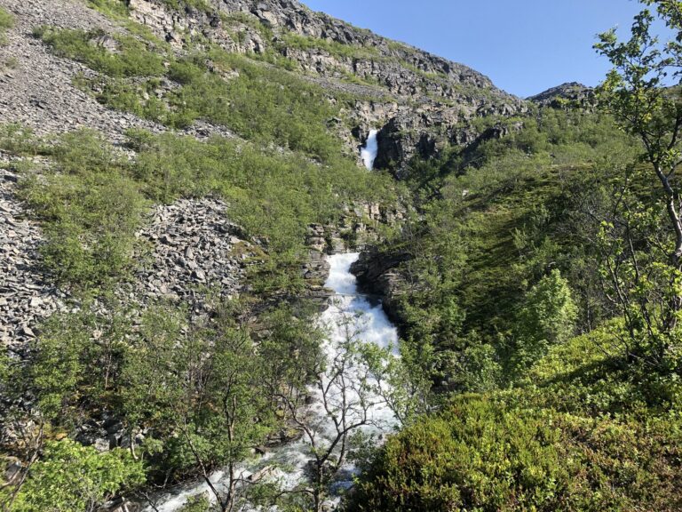 Webinaarisarja alkuperäiskansojen terveys- ja hyvinvointitutkimuksesta